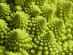 Chou romanesco - Brassica oleracea var. botrytis - Macrophotographie